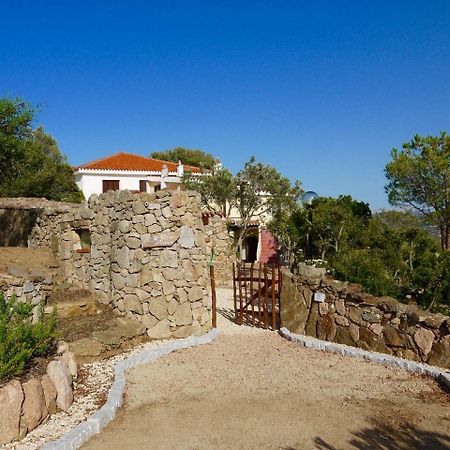 מלון אולביה Casa Arancio מראה חיצוני תמונה